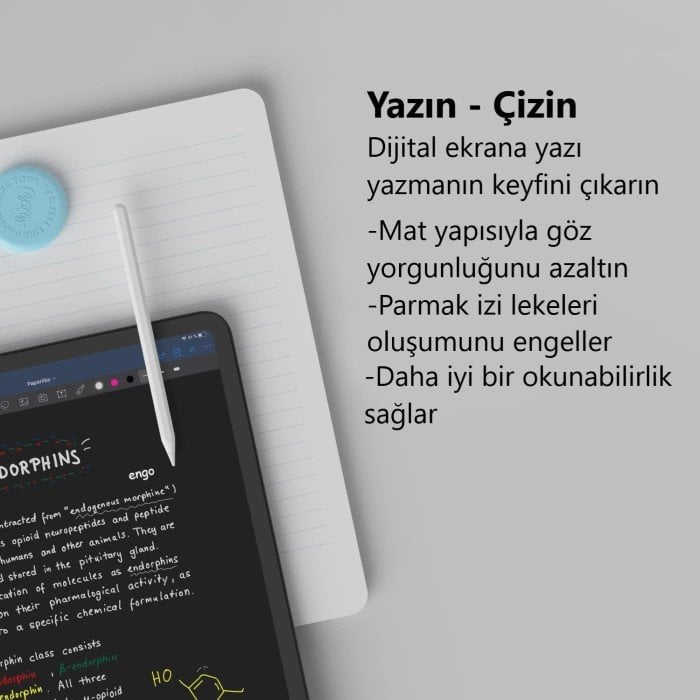 Paperlike ekran koruyucu nedir